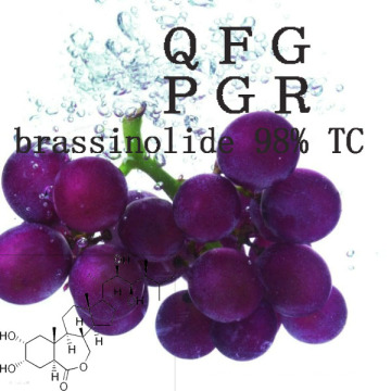 Plant Hormone CAS 72962-43-7 Brassinolide 98% Tc